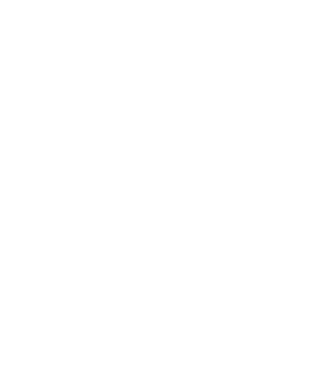 solo-logo-oste-white